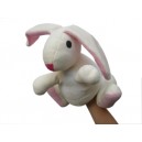 maň&aacute;sek zaj&iacute;c