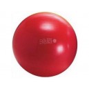Gymnic Classic Plus 55 cm