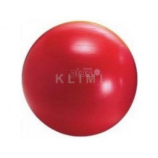 http://old.klimesovahracky.cz/19927-thickbox/gymnic-classic-plus-55-cm.jpg