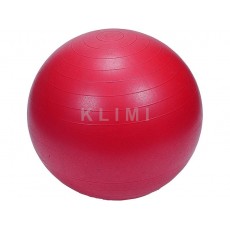 http://old.klimesovahracky.cz/20029-thickbox/gym-ball-55-cm-hustilka.jpg