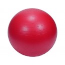 GYM Ball 65 cm + hustilka