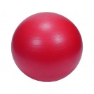 GYM Ball 65 cm + hustilka