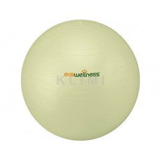 http://old.klimesovahracky.cz/20926-thickbox/ecowellness-ball-75-cm.jpg