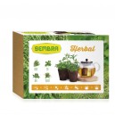 Zahr&aacute;dka - Bylinkov&aacute; směs - Herbal