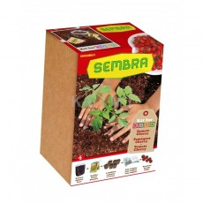 http://old.klimesovahracky.cz/28381-thickbox/moje-prvni-zahradka-cherry-rajcatka.jpg