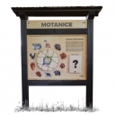 Motanice
