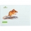 Puzzle do kapsy