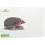Puzzle do kapsy