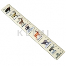 http://old.klimesovahracky.cz/43243-thickbox/drevene-pravitko-30-cm.jpg
