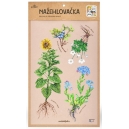 Nažehlovačka - L