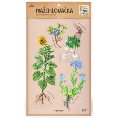 http://old.klimesovahracky.cz/44712-thickbox/nazehlovacka-l.jpg