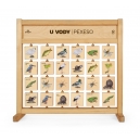 PEXESO STOLN&Iacute; - U VODY