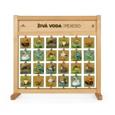 http://old.klimesovahracky.cz/48412-thickbox/pexeso-stolni-ziva-voda.jpg