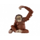 Orangutan sumatersk&yacute; 8cm
