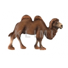 http://old.klimesovahracky.cz/48874-thickbox/velbloud-dvouhrby-12cm.jpg