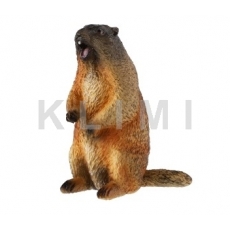 http://old.klimesovahracky.cz/48907-thickbox/svist-zlutobrichy-8cm.jpg
