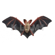 http://old.klimesovahracky.cz/49008-thickbox/netopyr-velkouchy-11cm.jpg
