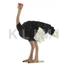 http://old.klimesovahracky.cz/49066-thickbox/pstros-dvouprsty-11cm.jpg