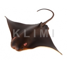 http://old.klimesovahracky.cz/49446-thickbox/siba-omanska-rejnok-18cm.jpg