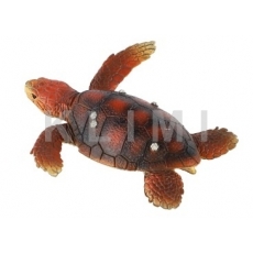 http://old.klimesovahracky.cz/49466-thickbox/kareta-obecna-zelva-8cm.jpg
