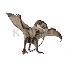 http://old.klimesovahracky.cz/49534-thickbox/pteropterus-15cm.jpg